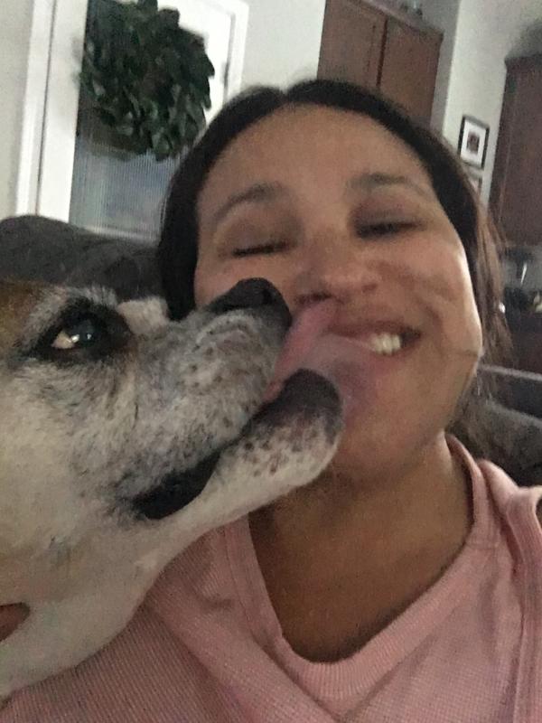 Life Expectancy of Boxer Dogs Average Boxer Dog Lifespan