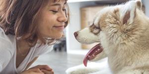 6 Signs that your Dog Loves You