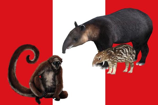 Endangered Animals in Peru