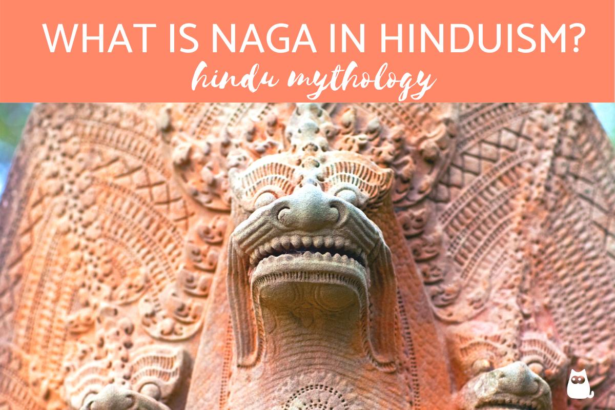 What is a Naga in Hinduism?