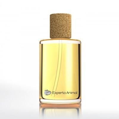 How to Make Homemade Perfume for Dogs