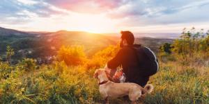 10 Reasons to Adopt a Mixed Breed Dog