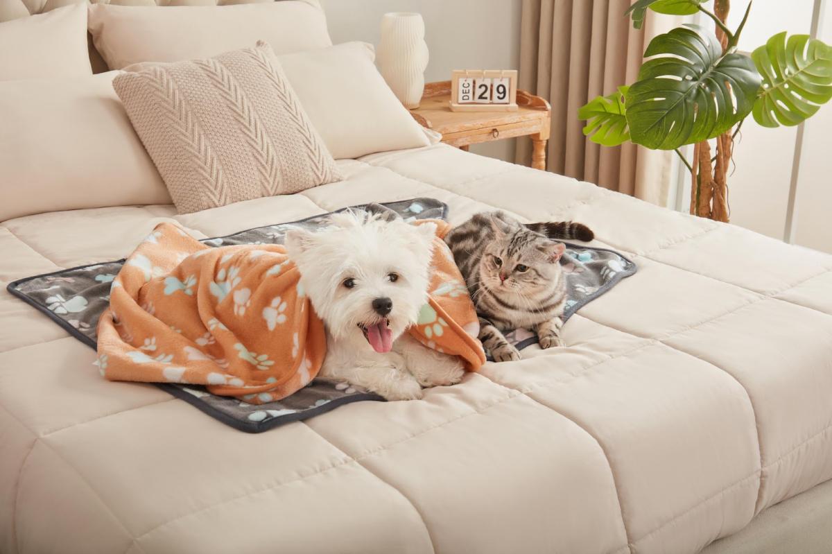 Luciphia Pet Blankets Bring Comfort, Cleanliness & Style to Pet Families Nationwide