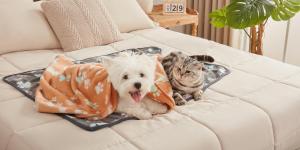 Luciphia Pet Blankets Bring Comfort, Cleanliness & Style to Pet Families Nationwide