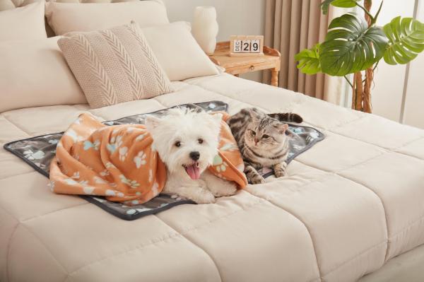 Luciphia Pet Blankets Bring Comfort, Cleanliness & Style to Pet Families Nationwide