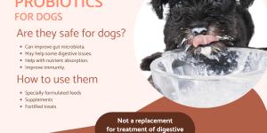 What Is a Good Probiotic for Dogs?