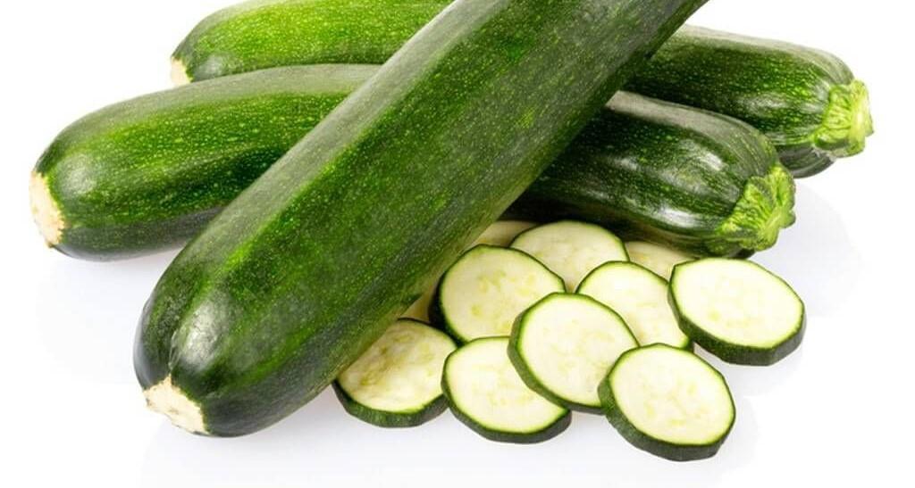 Feeding A Baby Iguana