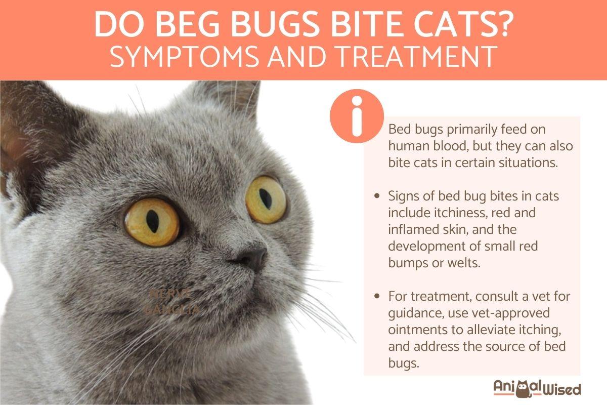 Do Beg Bugs Bite Cats?