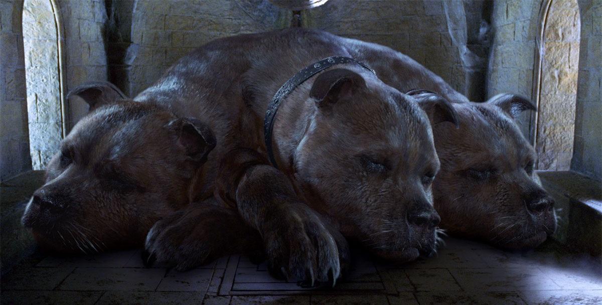 Top 10 Animals in Harry Potter 🐉 - List of Harry Potter Magical Creatures