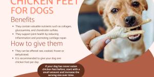 Can Dogs Eat Chicken Feet?
