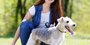 10 Hypoallergenic Dog Breeds for Allergic Families