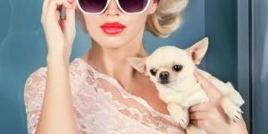 TOP 20 Elegant Dog Breeds in the World