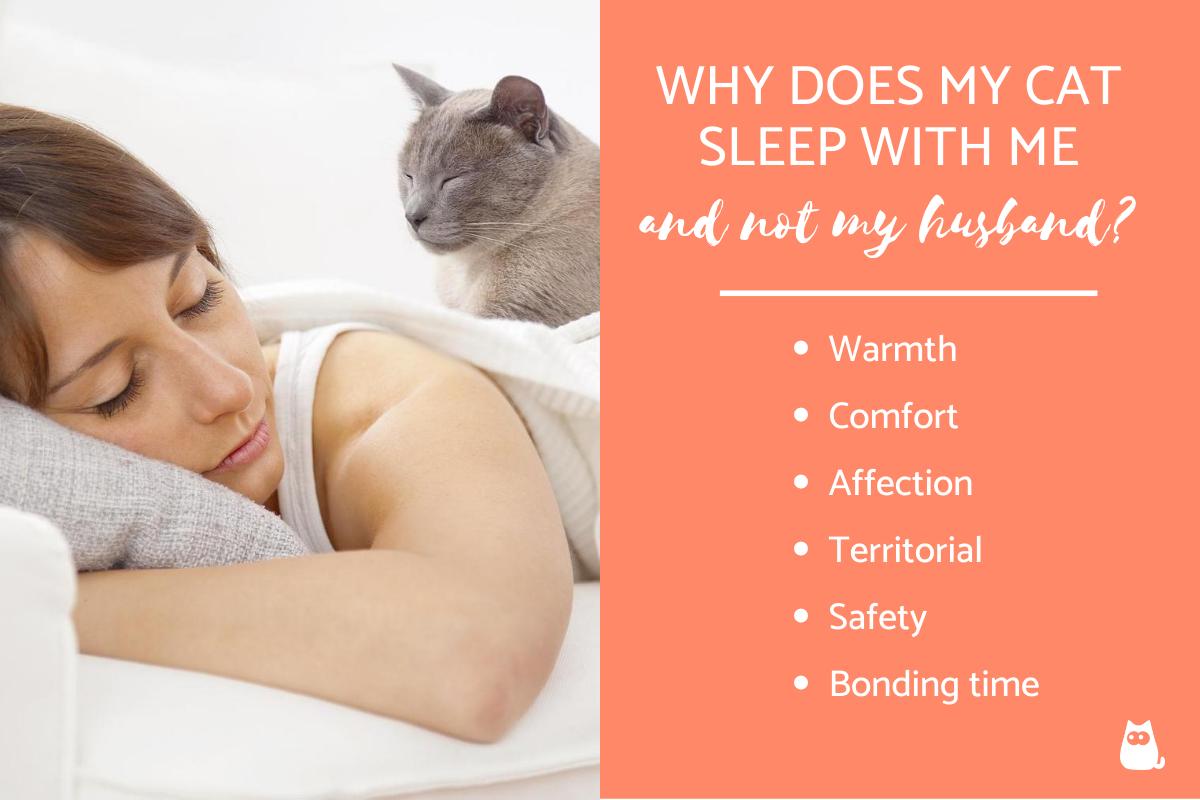 Why Does My Cat Sleep With Me and Not My Husband?