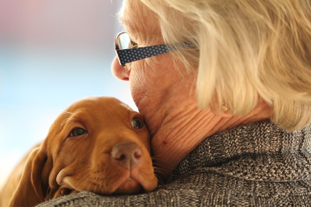 How to travel With an Emotional Support Animal