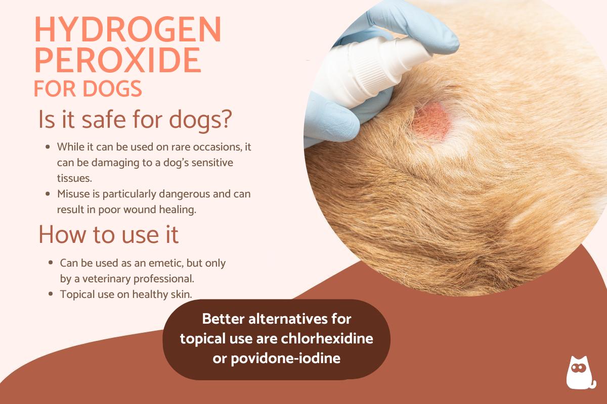 Is Hydrogen Peroxide Safe for Dogs?