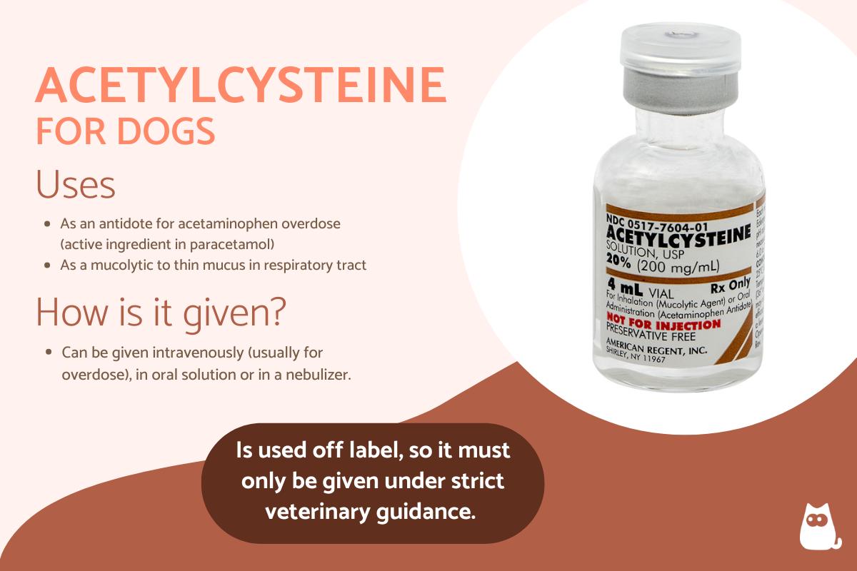 Acetylcysteine for Dogs - Uses, Dosage and Administration