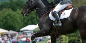 Not Just Horses - Meet True Teammates for the Podium