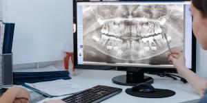 Top 5 AI Platforms for Vet Diagnostic Imaging