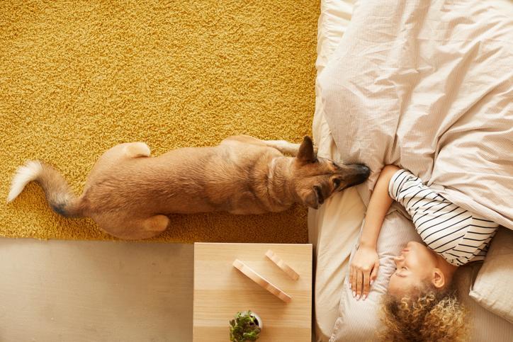 Why does my dog sleep by me discount