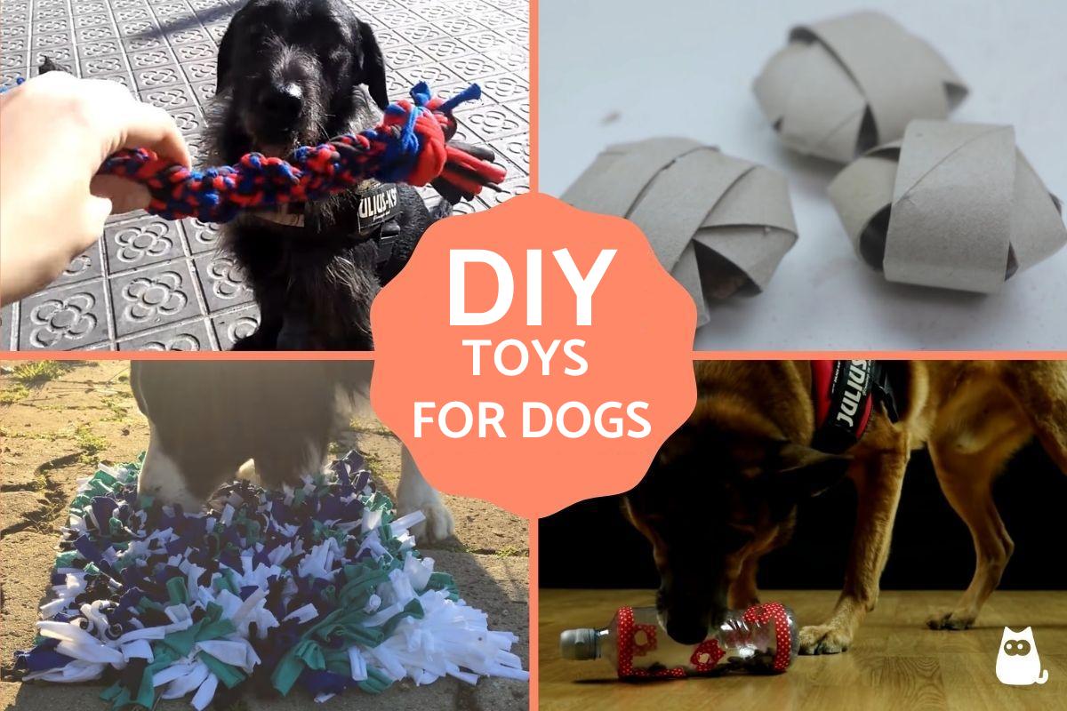 Easy DIY Toys for Dogs
