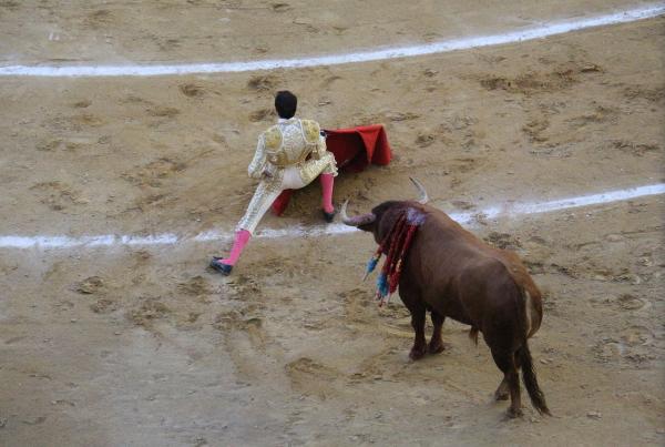 Why Do Bulls Attack the Color Red?