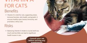 Vitamin A for Cats - Dosage & Safe Levels
