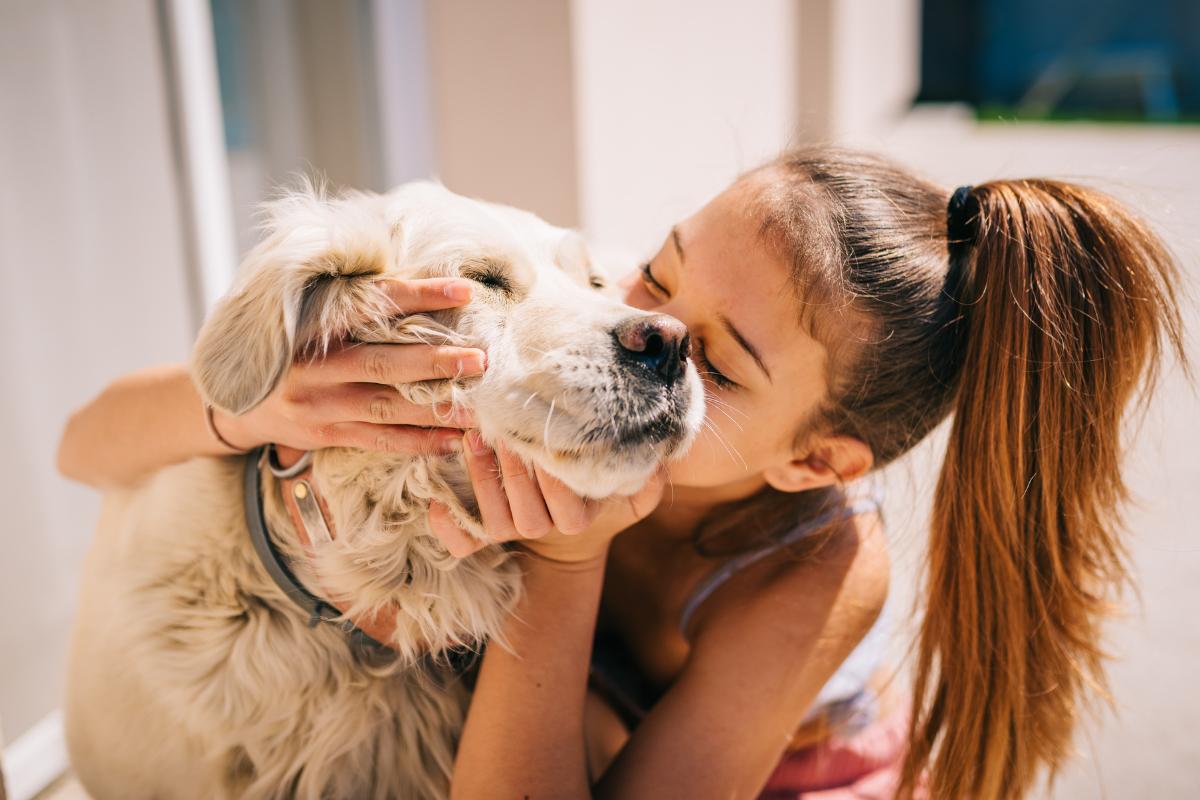 Do Dogs Like Kisses?