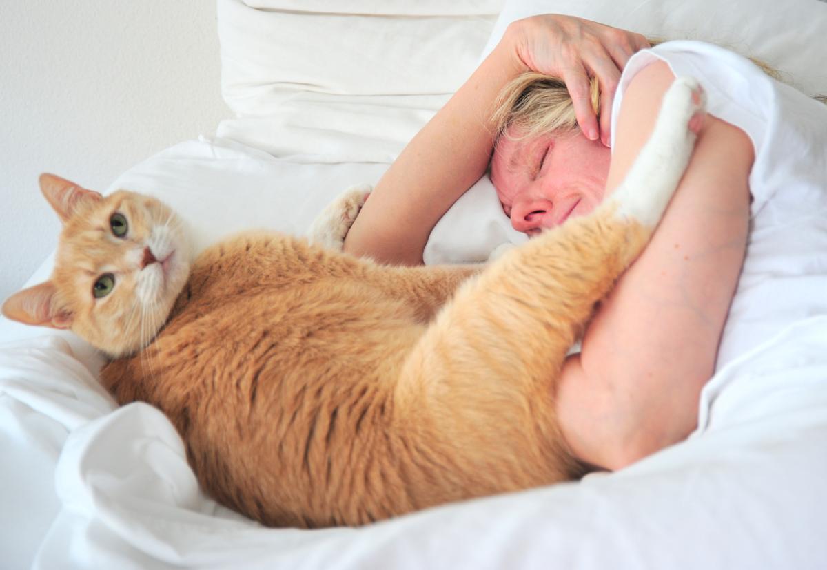 Why Does my Cat Wake me up in the Morning? - Answer & Solutions