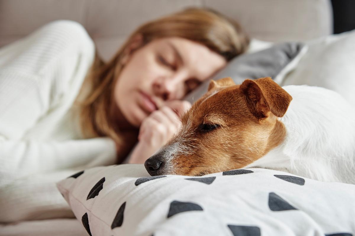 Is It Bad to Sleep with Your Dog?