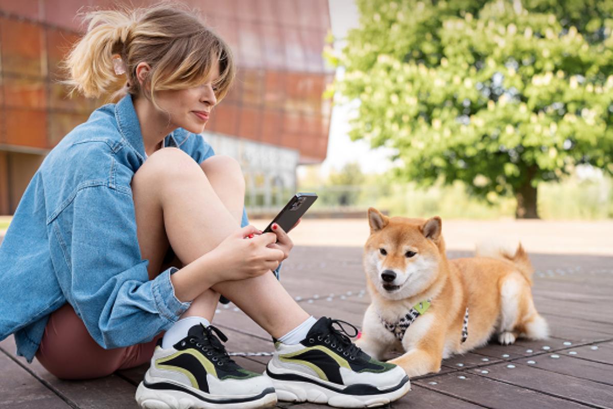 How to Protect Your Dog from Overheating: safety tips every owner should know