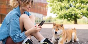 How to Protect Your Dog from Overheating: safety tips every owner should know