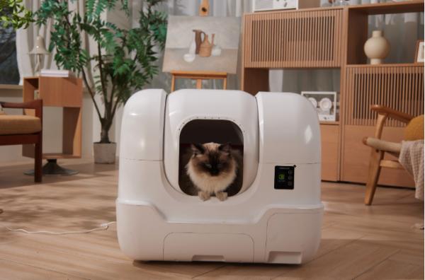 5 Ways Smart Pet Care Solutions Can Improve Your Pet's Daily Life - 1. Mealtimes Becomes More Consistent 