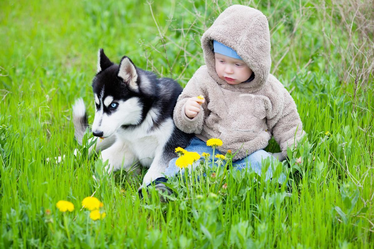 My Puppy Bit My Child