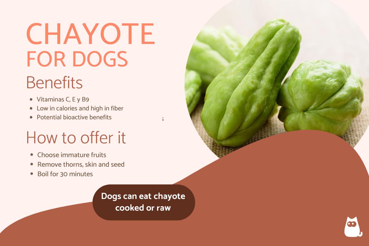 Can Dogs Eat Chayote?