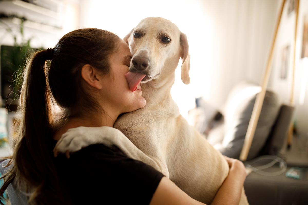 My Dog Won't Stop Licking My Face