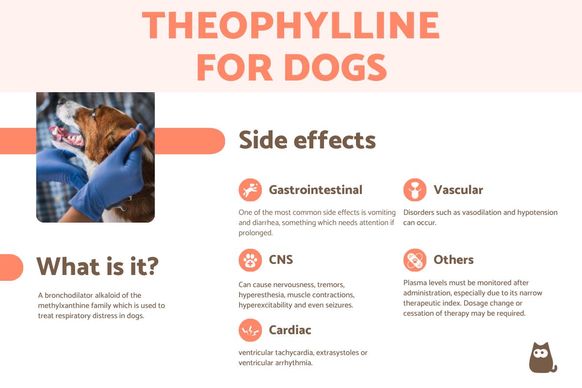 Theophylline For Dogs Uses Dosage Contraindications And Side Effects theophylline-for-dogs-uses-dosage-contraindications-and-side-effects