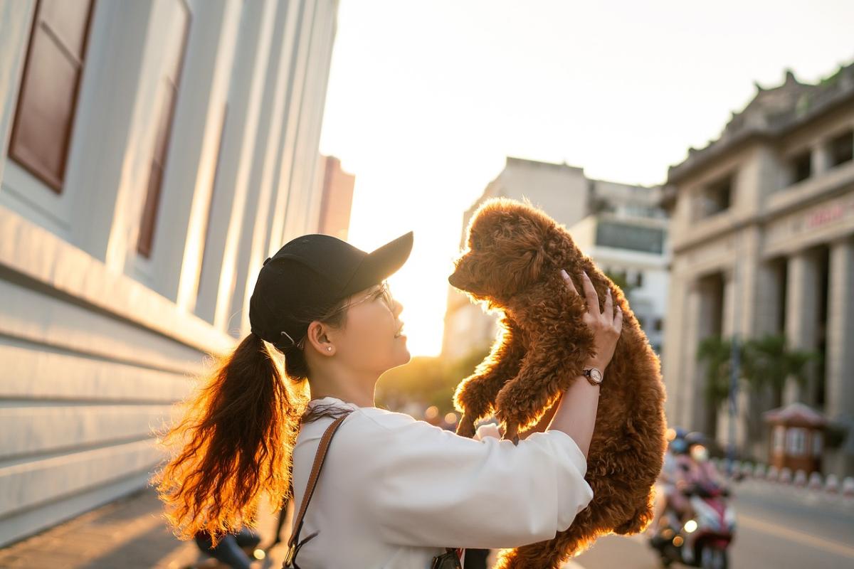 Why Don't Dogs Like Blowing in Their Face?