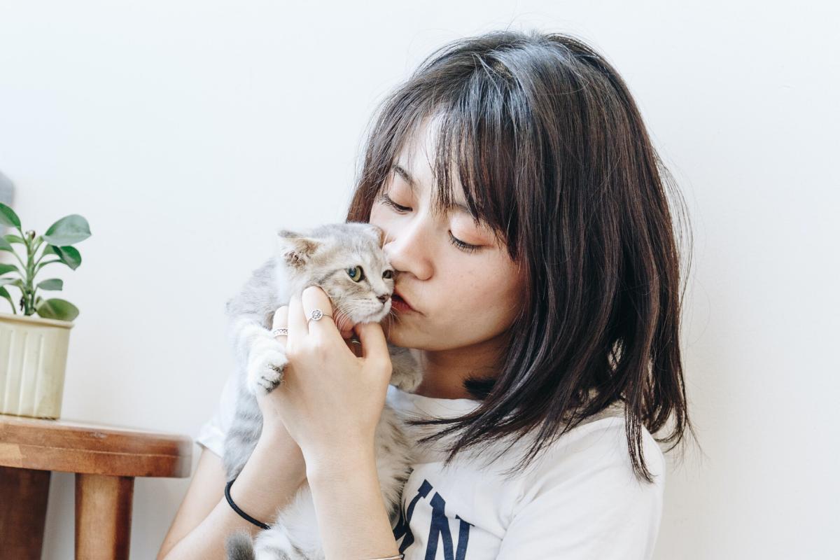 How Cats Show Their Affection