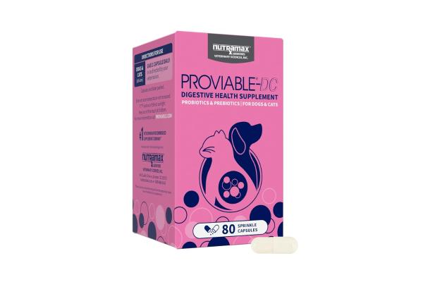 The Best Probiotic Supplements for Dogs in 2025: A Comprehensive Comparison - 4. Nutramax Proviable-DC