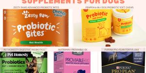 The Best Probiotic Supplements for Dogs in 2025: A Comprehensive Comparison