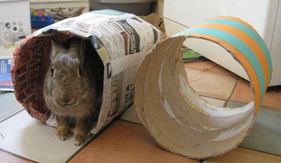 5 DIY Rabbit Toy Ideas - Easy Guide With Photos!