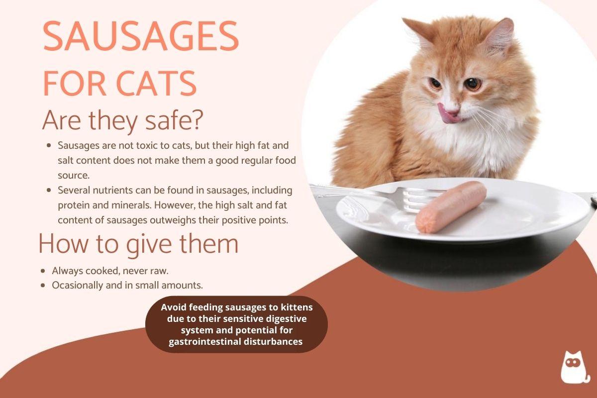 Can Cats Eat Sausage?