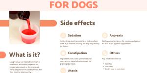Cough Syrup for Dogs