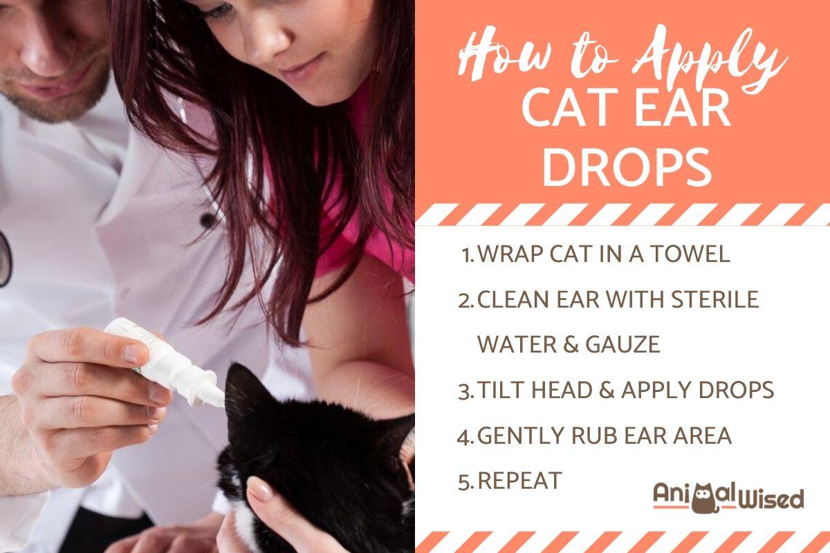 How to Apply Cat Ear Drops