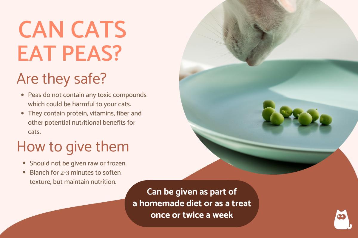 Are Peas Bad for Cats?