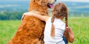 The 5 Best Dog Breeds for Autistic Children