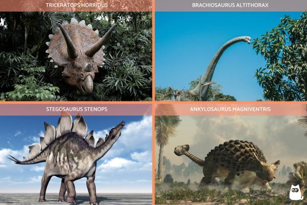 What Did Dinosaurs Eat? - Herbivorous dinosaurs