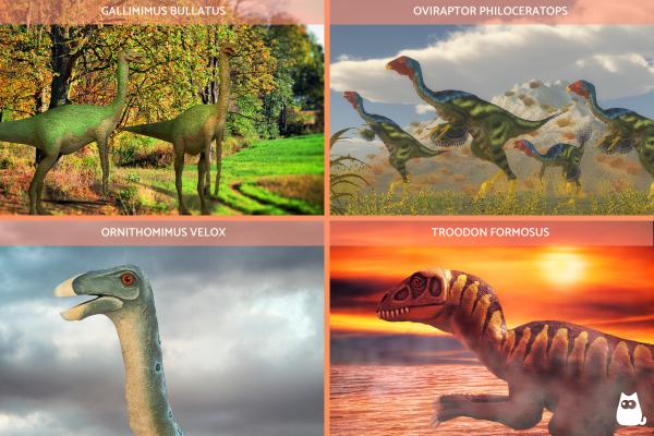 What Did Dinosaurs Eat? - Omnivorous dinosaurs