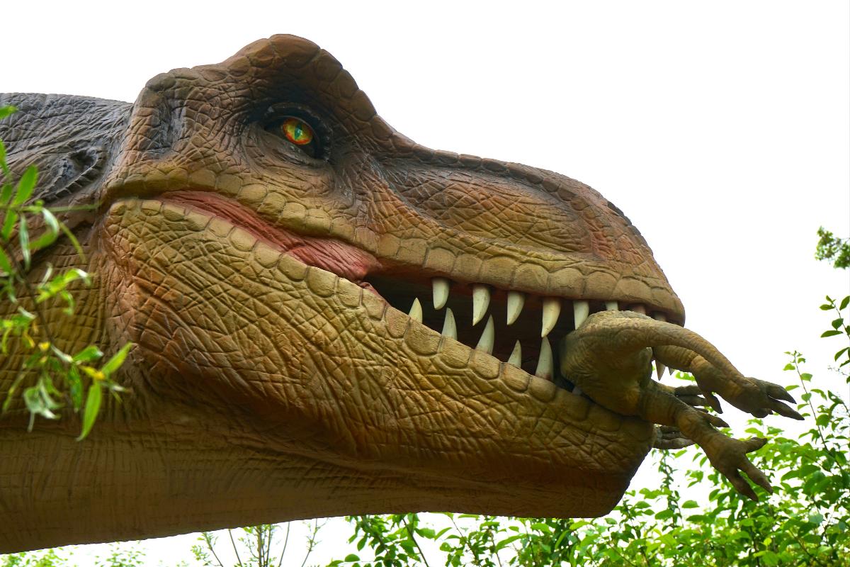 What Did Dinosaurs Eat?