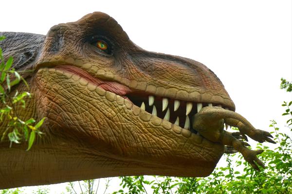 What Did Dinosaurs Eat?